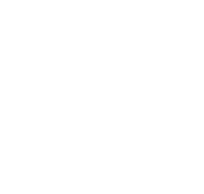 Ryntex Trade LLC